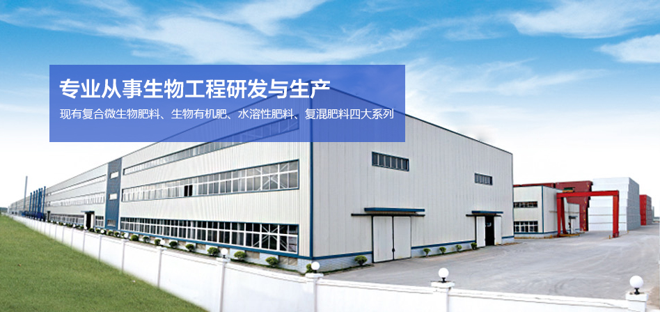 公司简介配图